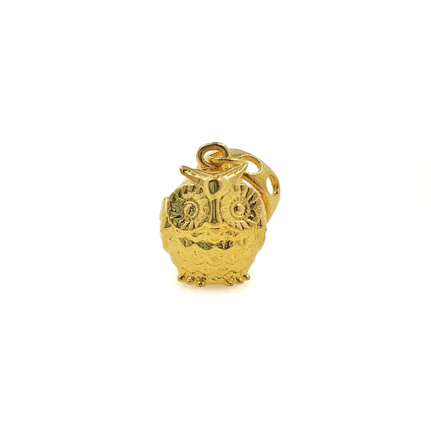 Wise Night Owl Charm